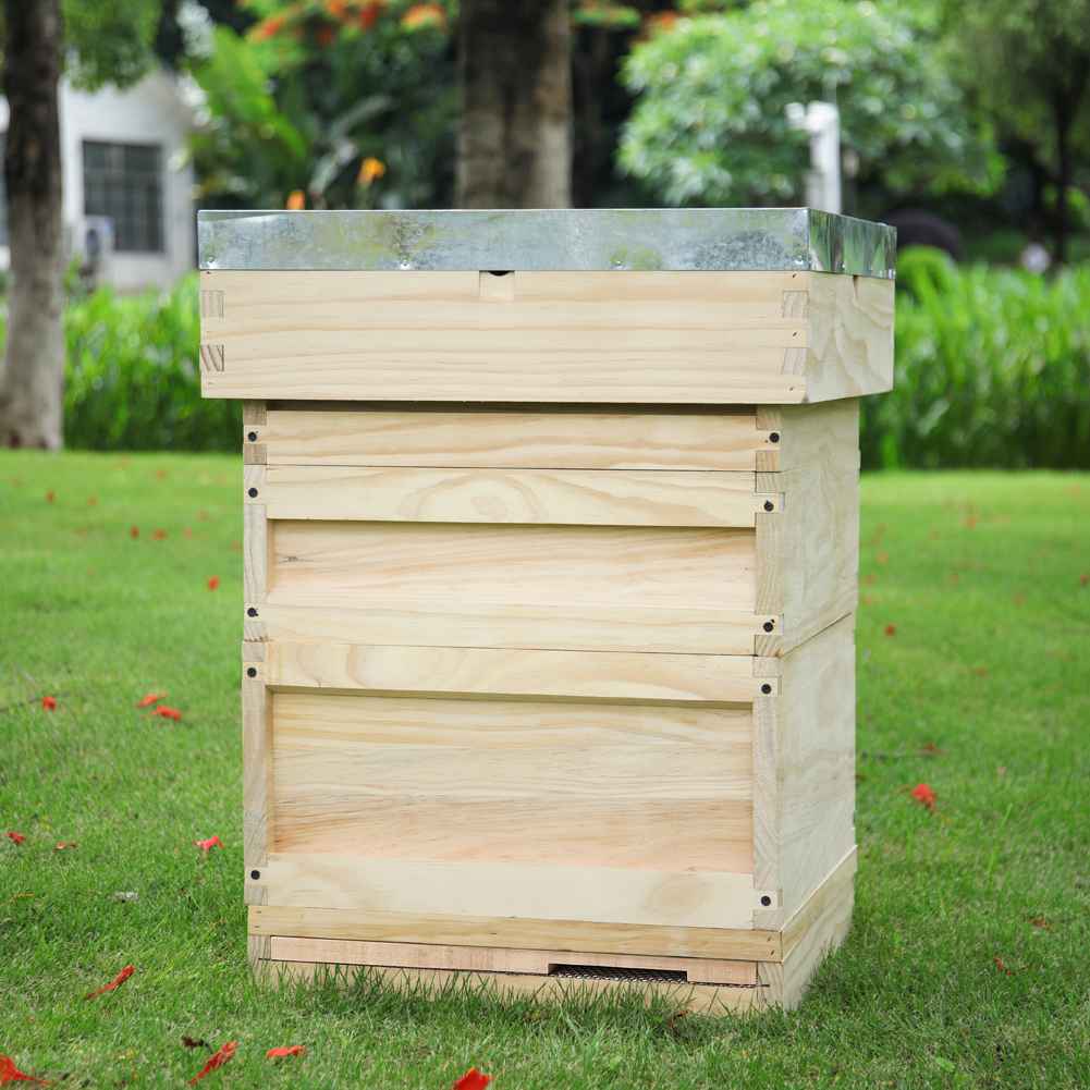 Wooden Beehive Starter Kit