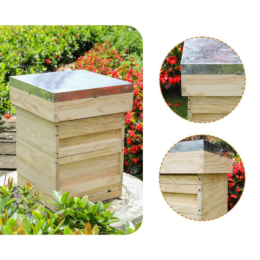 Wooden Beehive Starter Kit