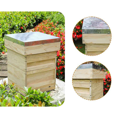 Wooden Beehive Starter Kit