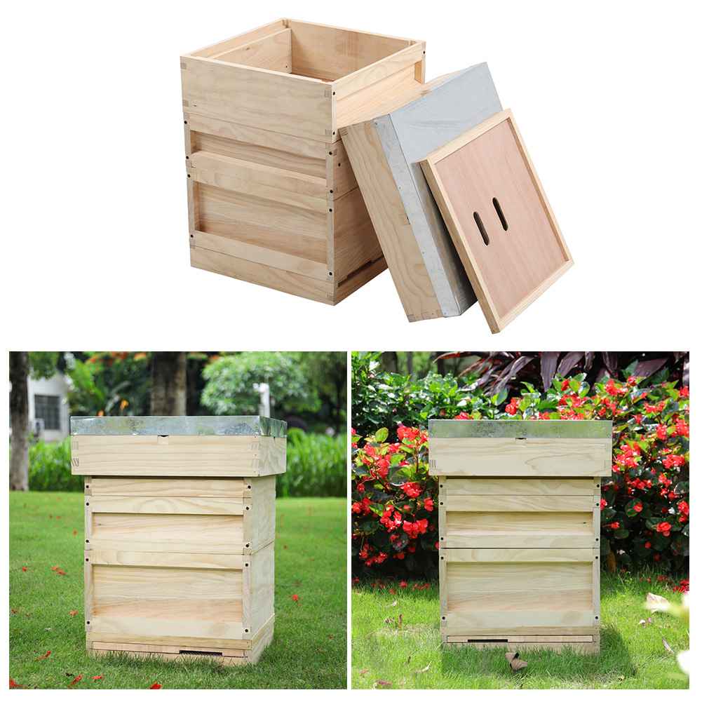 Wooden Beehive Starter Kit