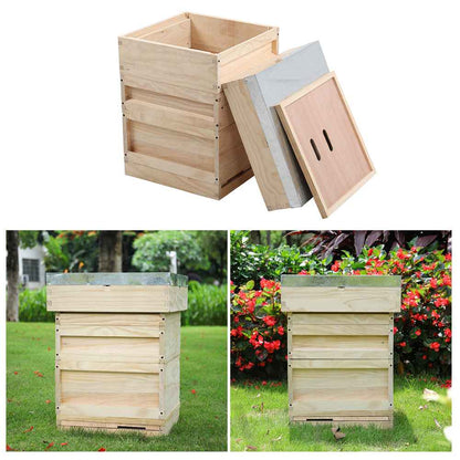 Wooden Beehive Starter Kit