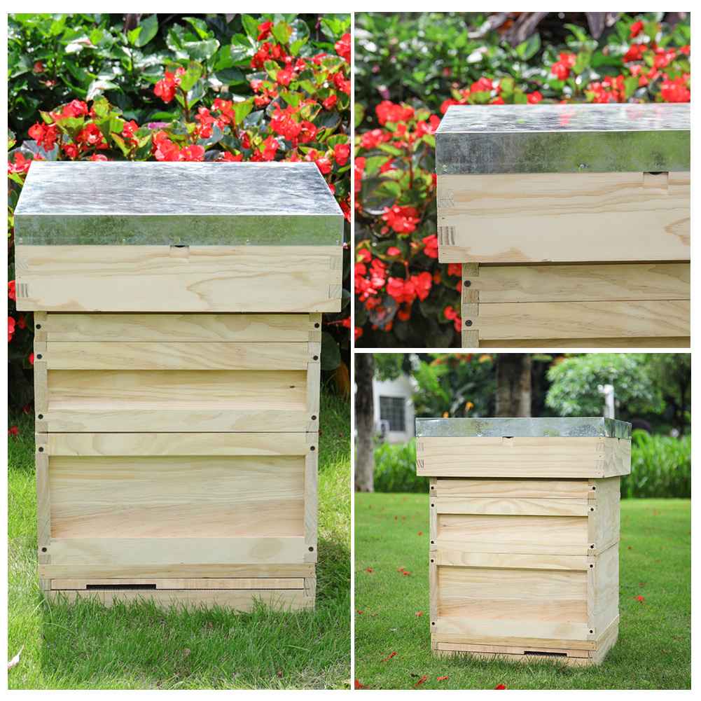 Wooden Beehive Starter Kit