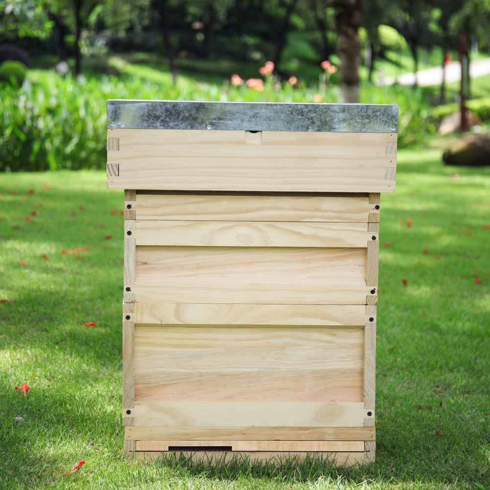 Wooden Beehive Starter Kit