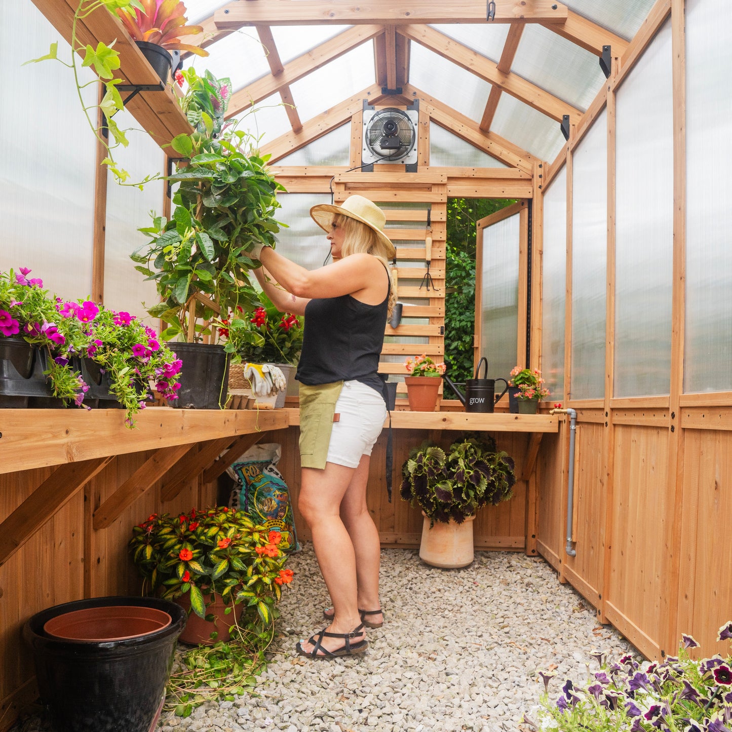 2.9m x 1.8m (9ft x 6ft) Bellerose Greenhouse